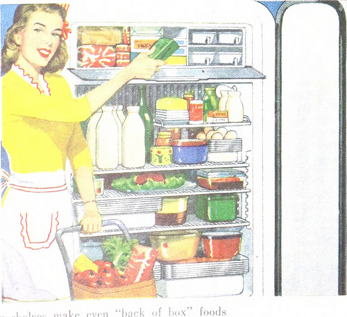  lady working in kitchen photo