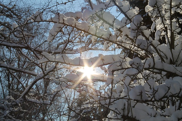 winter sunny day photo