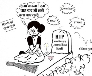 delhi cartoon by monica gupta
